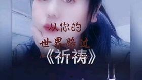 娱乐吃瓜酱看演唱会