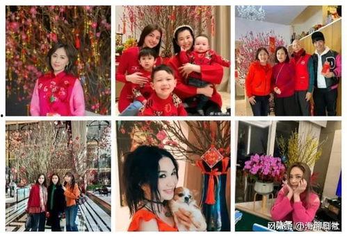 娱乐圈吃瓜爆音乐节