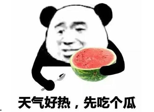 吃瓜表情的意思解释