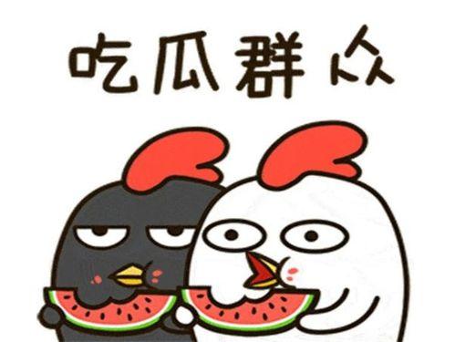 每天娱乐吃瓜,娱乐圈新鲜事速递